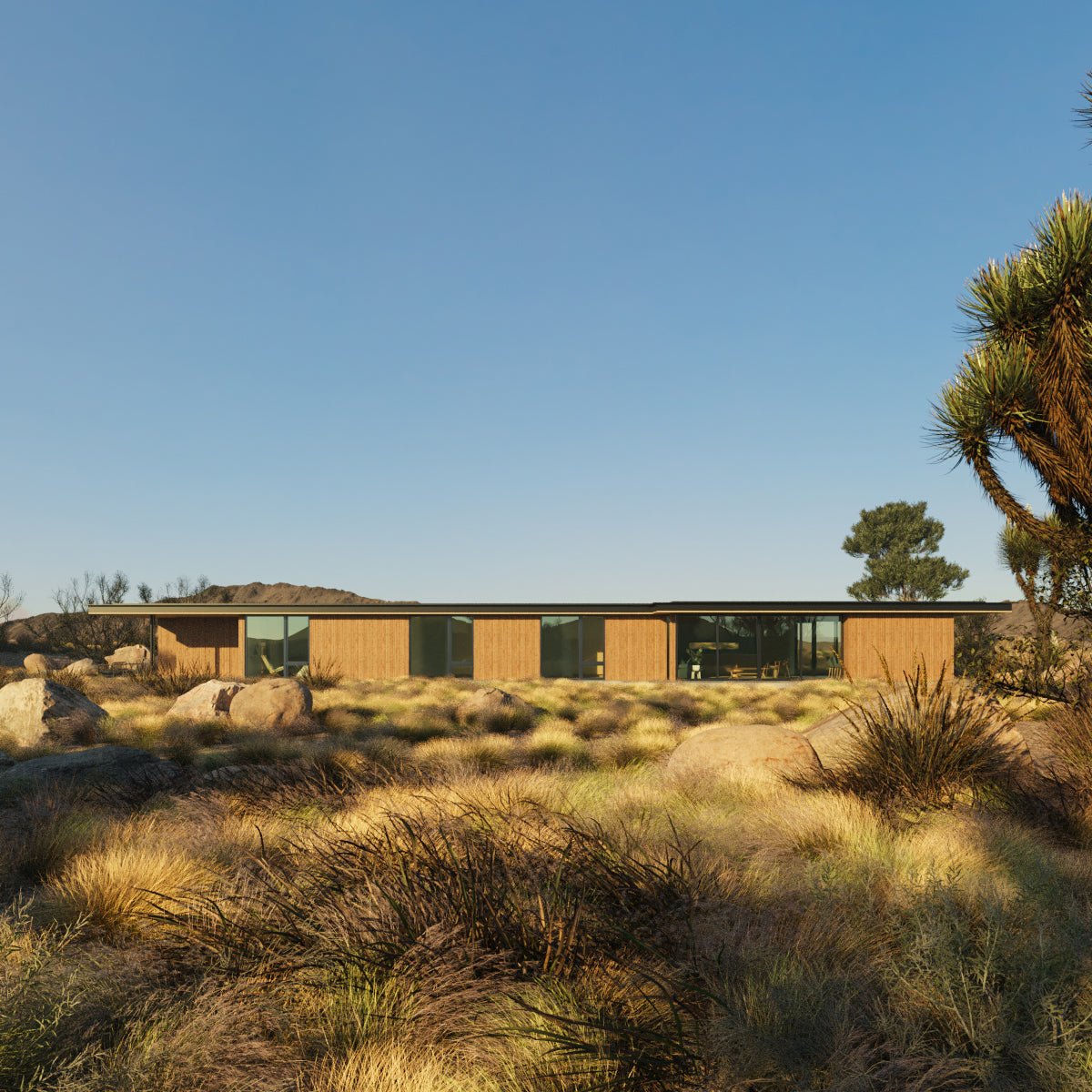 Studio House - Den