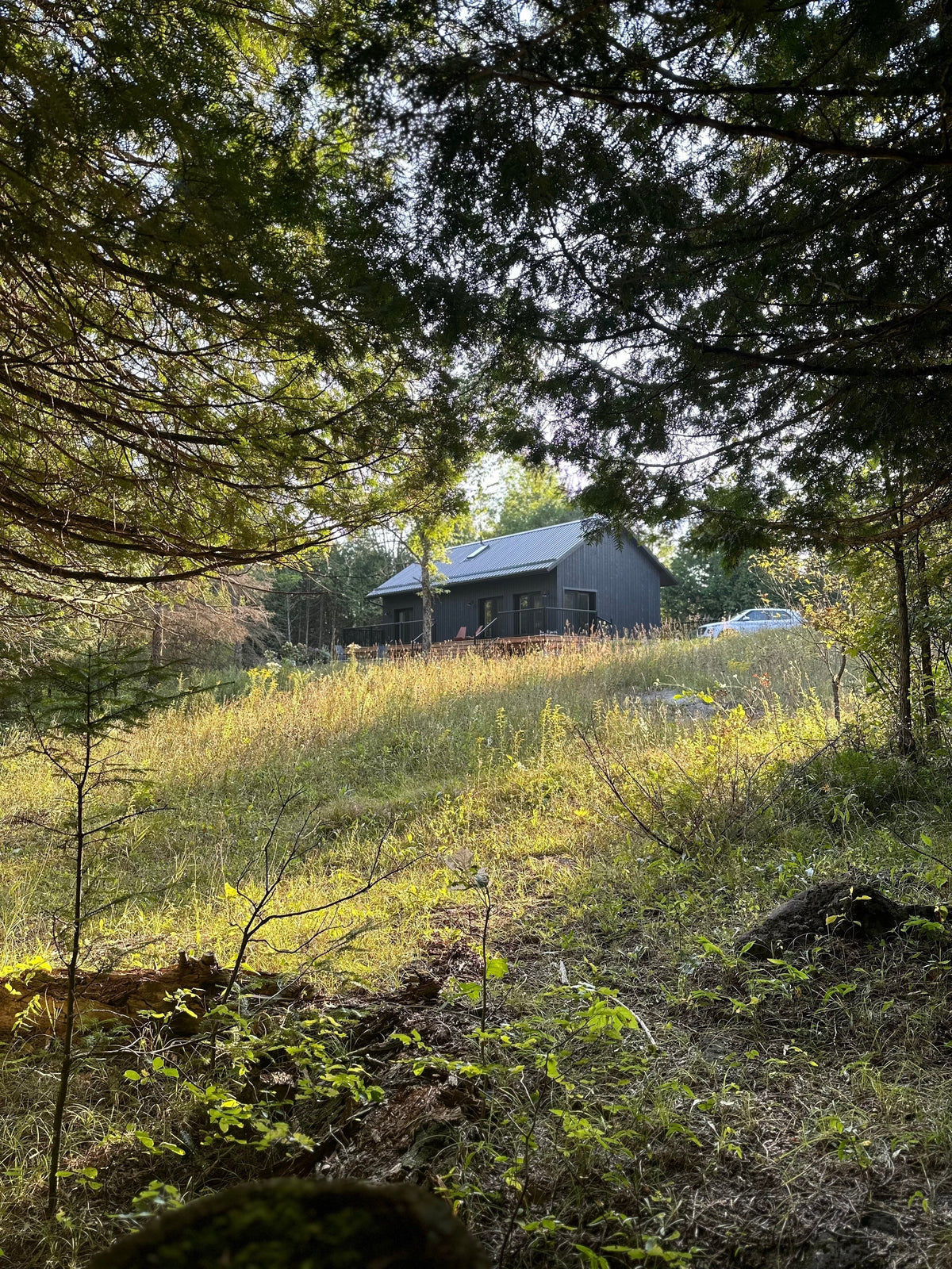 Can You Use DEN Plans Outside the US?