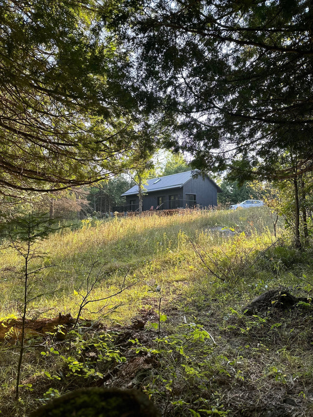 Can You Use DEN Plans Outside the US?