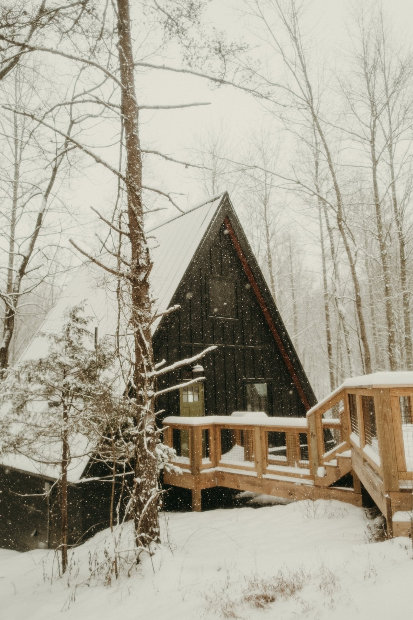 The Raven in Red River Gorge: How Shea built a thriving short term rental business using DEN's A-Frame plans - Den