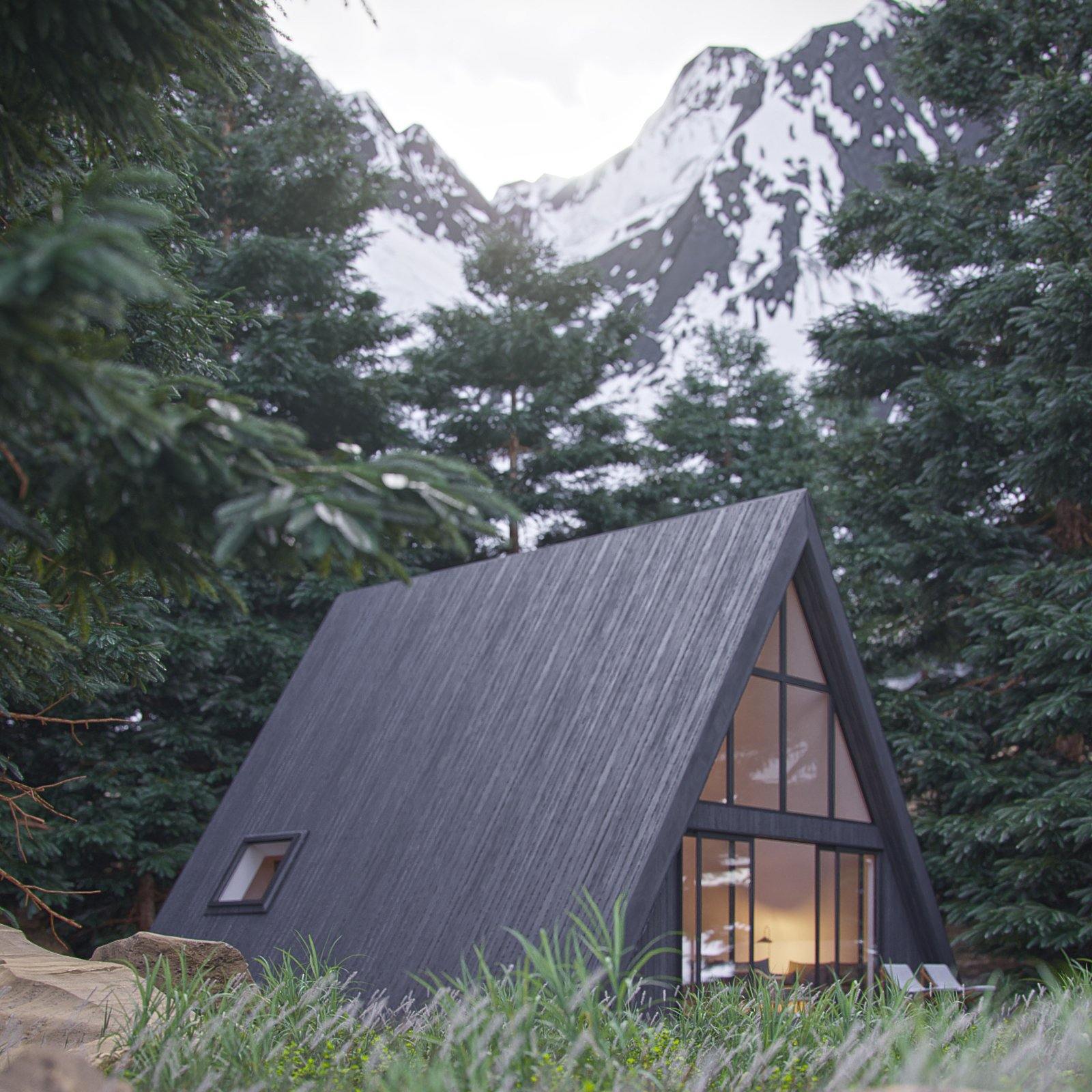 A-Frame Retreat - Den