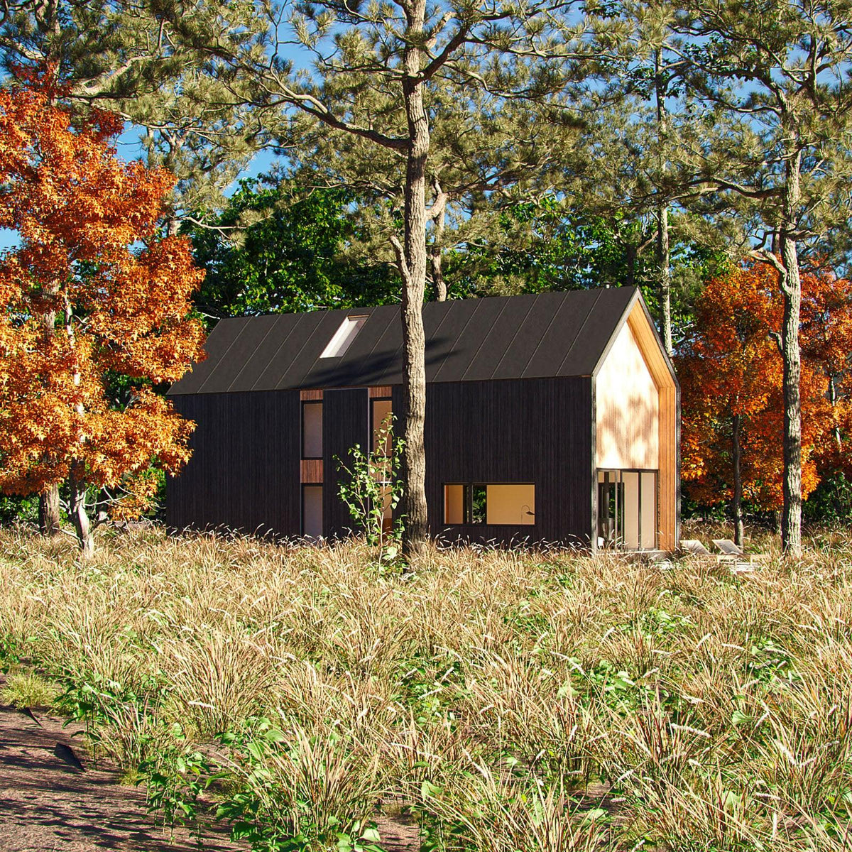 Alpine 2.2 - Download Small House Plans - Den
