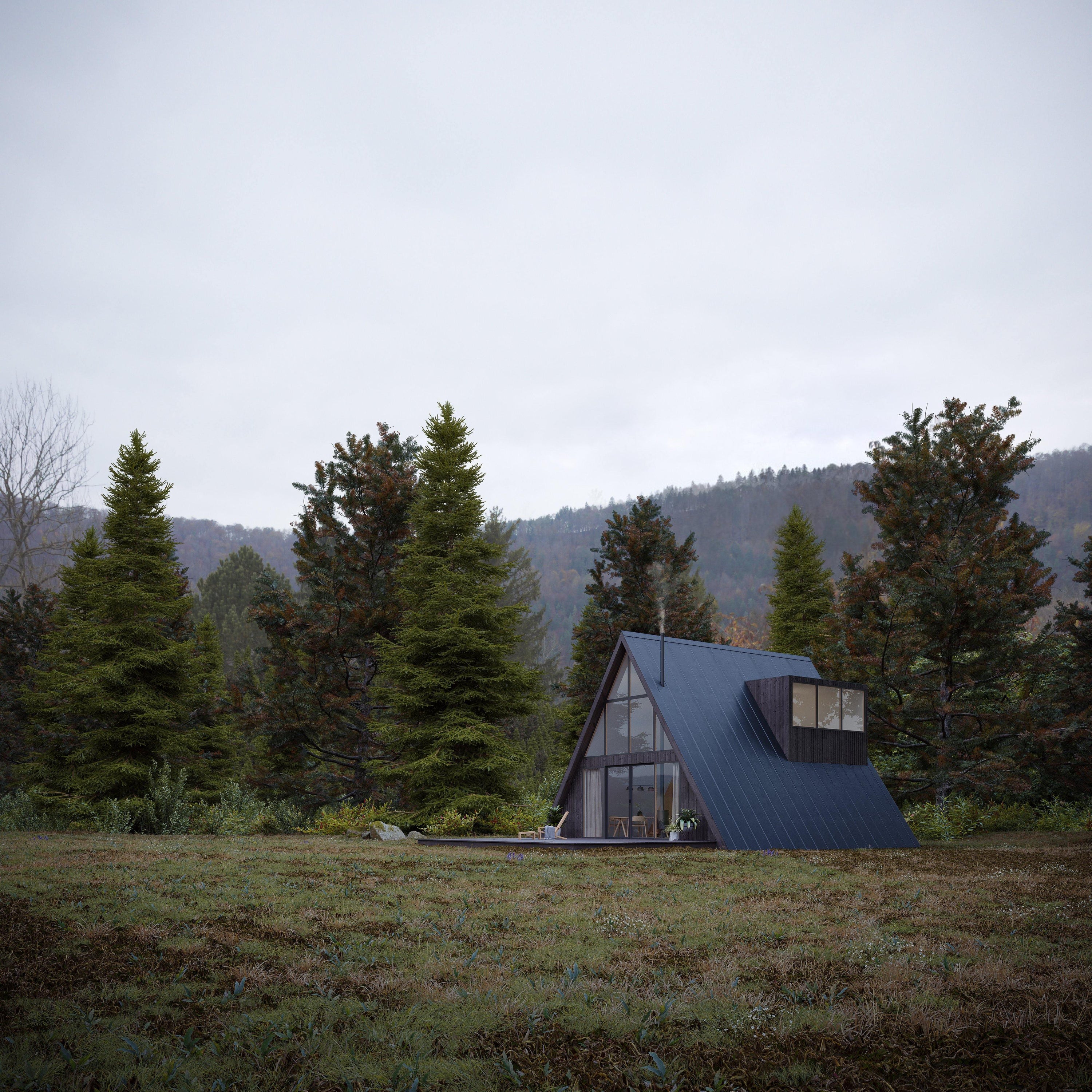 A-Frame House - Den