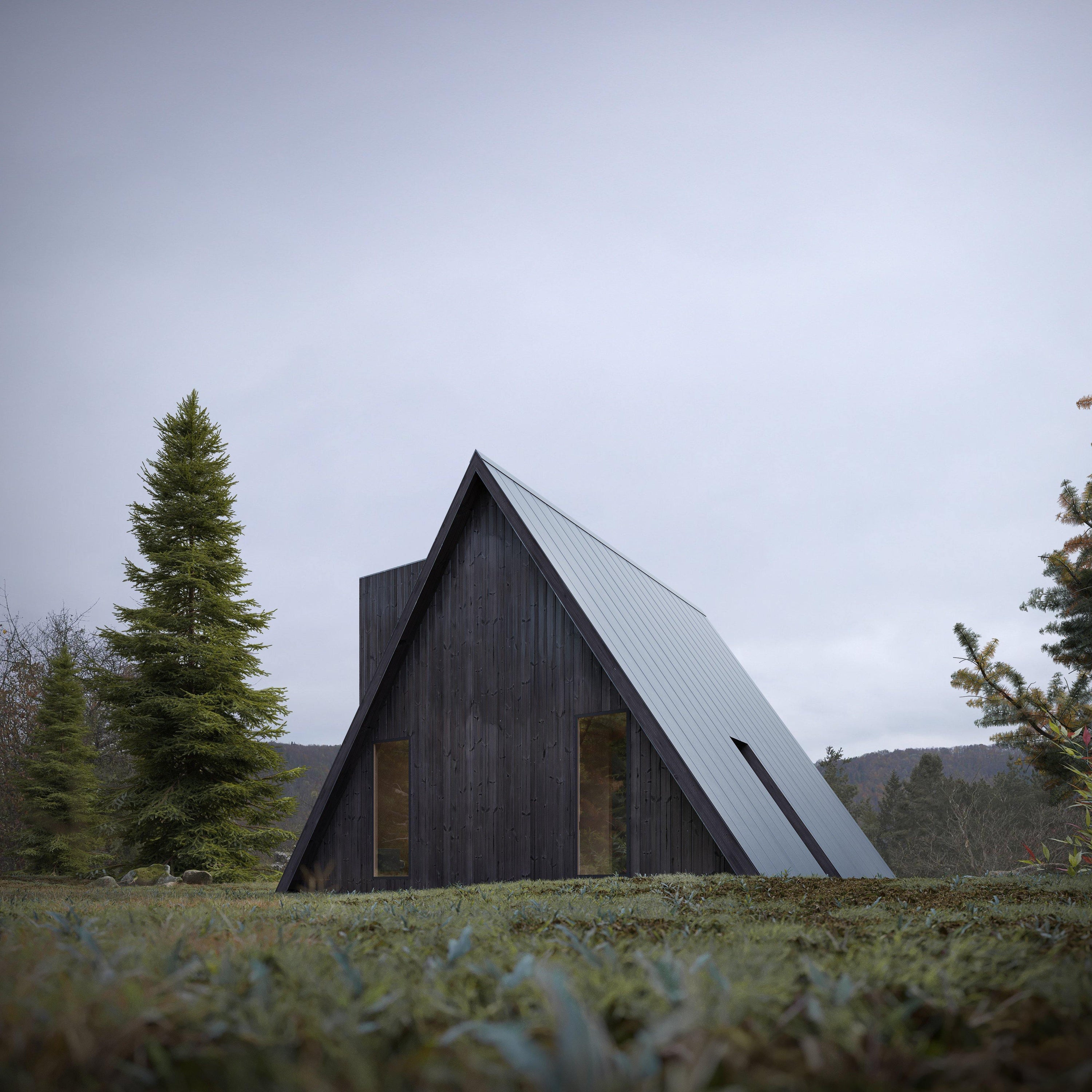 A-Frame House - Den